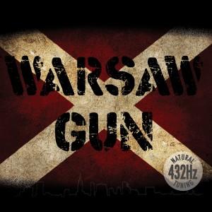 warsaw gun